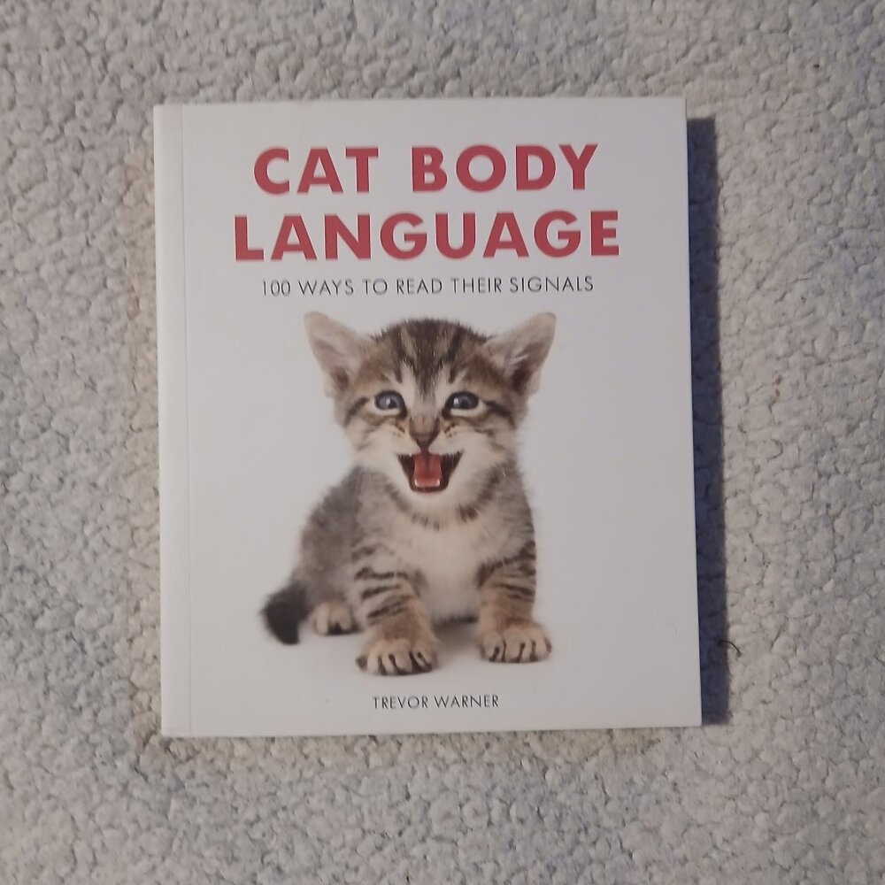 Cat Body Language : 100 Ways to Read Their Signals  New